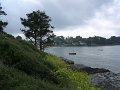 2005 Ile aux Moines et Golfe (3)